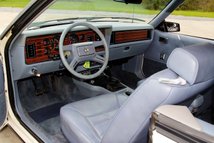 For Sale 1983 Ford Mustang